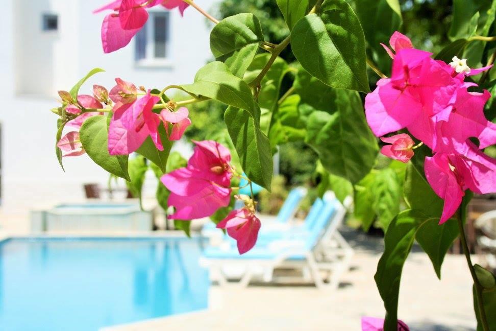 Parla Apart Hotel Çeşme Zewnętrze zdjęcie